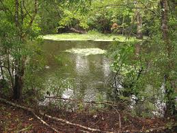 Jean Lafitte National Historical Park and