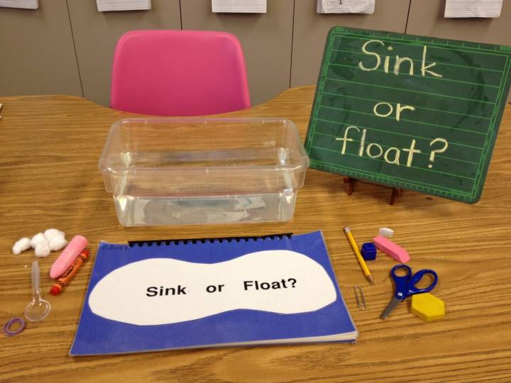 Will It Float Or Will It Sink Experiment