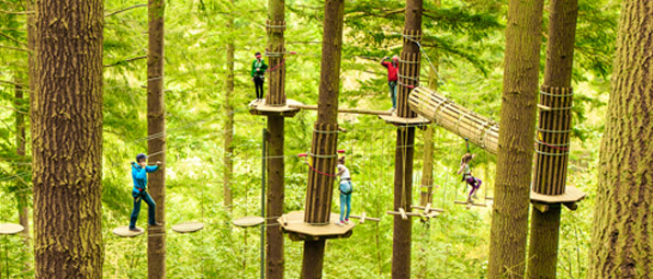 Go Ape Zip Line Treetop Adventure